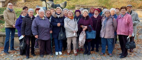 Apáczai Nyugdíjas Klub