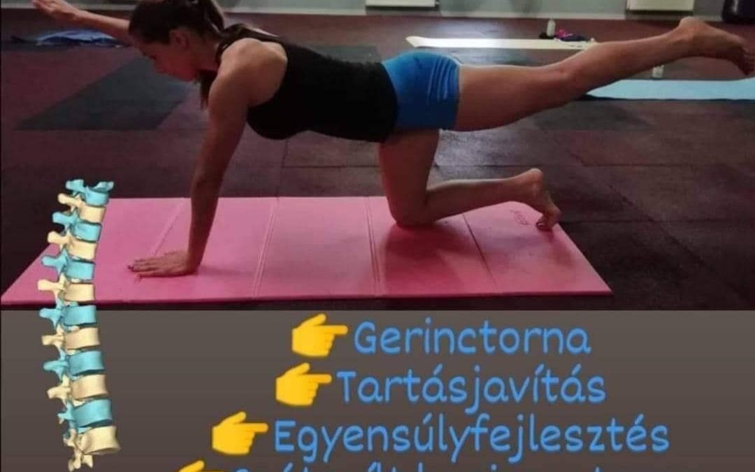 Gerinctorna