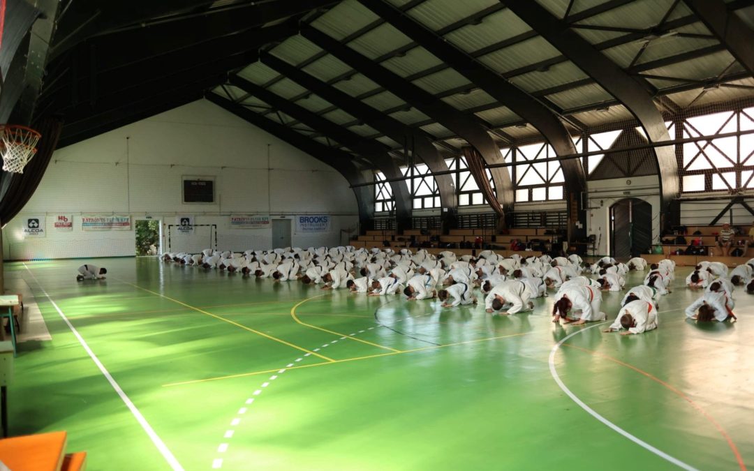 Shotokan Karate