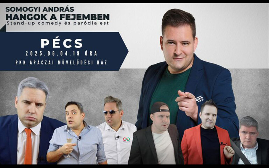 Somogyi András: hangok a fejemben